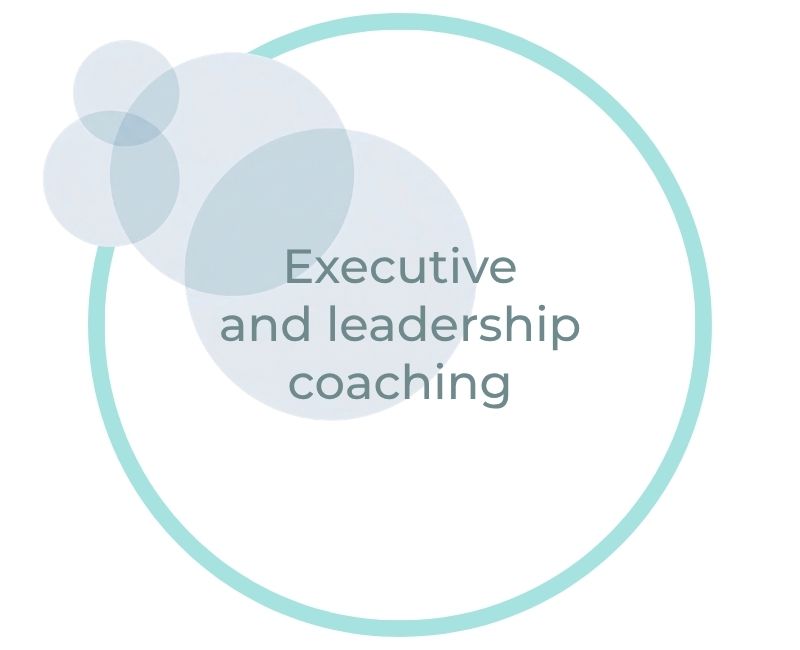 Executive and leadership coaching (1)
