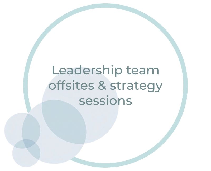 Leadership team offsites & strategy sessions Leadership team offsites & strategy sessions