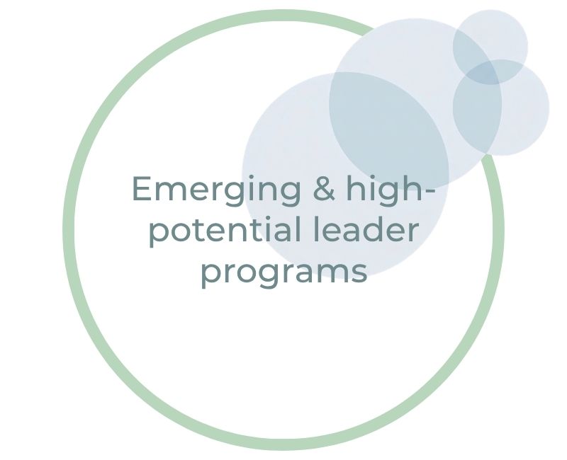 Emerging & high-potential leader programs Emerging & high-potential leader programs
