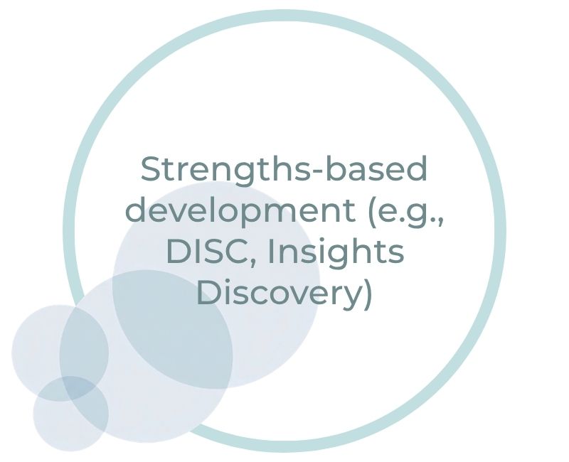 Strengths-based development (e.g., DISC, Insights Discovery) Strengths-based development (e.g., DISC, Insights Discovery)
