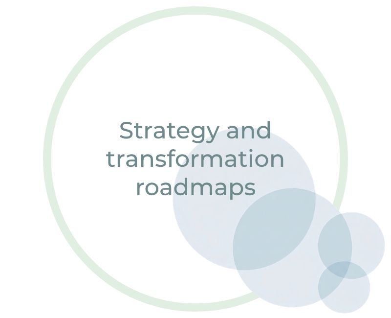 Strategy and transformation roadmaps Strategy and transformation roadmaps