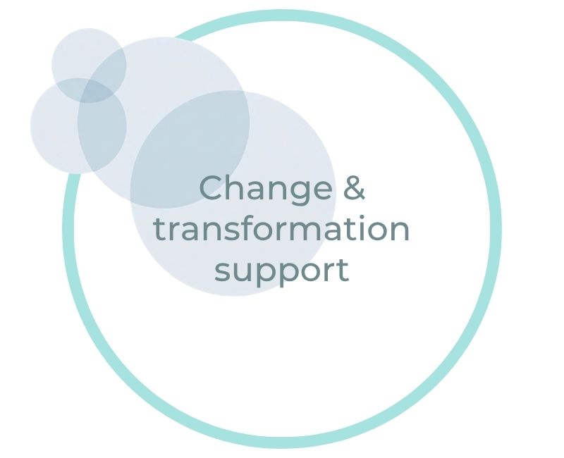 Change & transformation support Change & transformation support
