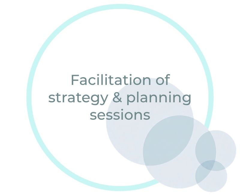 Facilitation of strategy & planning sessions Facilitation of strategy & planning sessions
