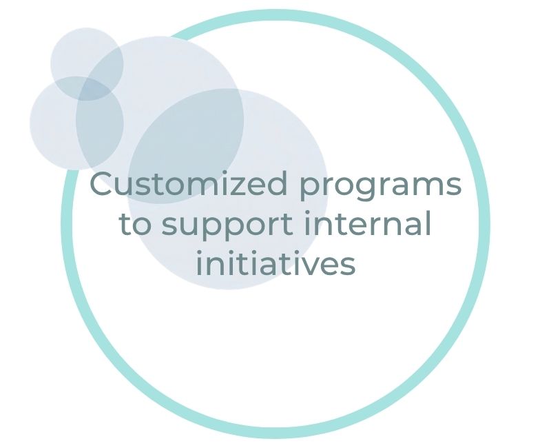 Customized programs to support internal initiatives Customized programs to support internal initiatives