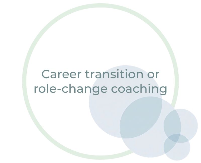 Career transition or role-changing coaching Career transition or role-changing coaching