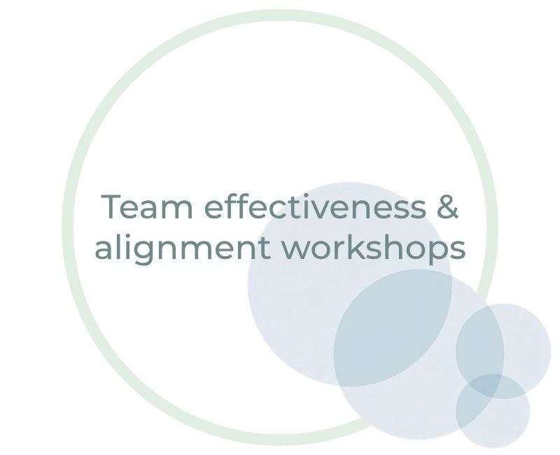 Team effectiveness & alignment workshops Team effectiveness & alignment workshops